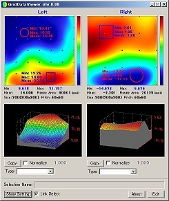 Grid Data Viewer